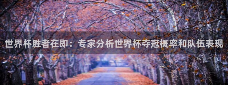 世界杯预选赛亚洲：世界杯胜者在即：专家分析世界杯夺冠概率和队伍表现