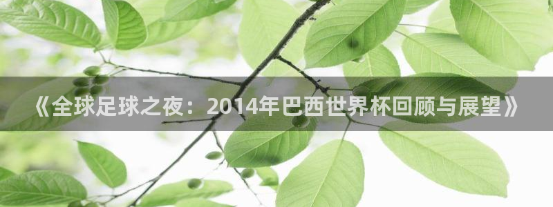 世界杯今年：《全球足球之夜：2014年巴西世界杯回顾与展望》