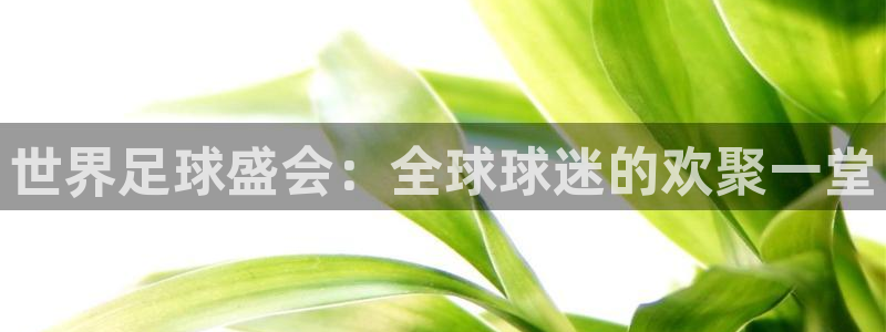 世界杯第一场比赛：世界足球盛会：全球球迷的欢聚一堂