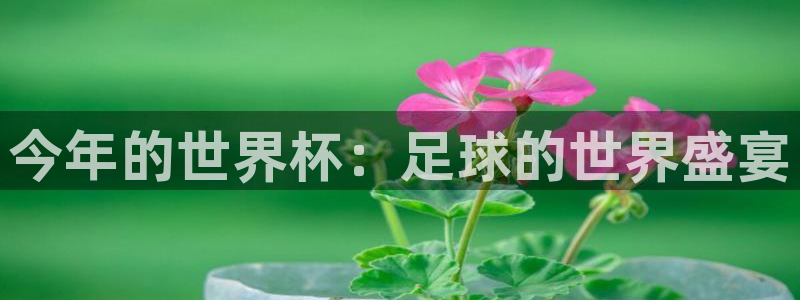 世界杯欧洲预选赛赛程：今年的世界杯：足球的世界盛宴