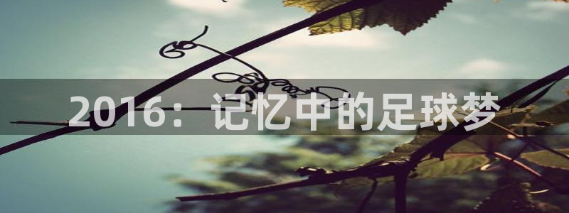 2026世界杯中国队：2016：记忆中的足球梦